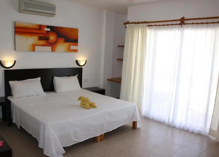 Sol Playa Hotel